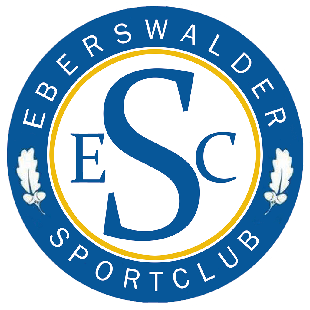 Fußball Logo